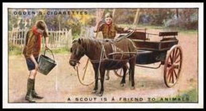 20 A Scout is a Friend to Animals